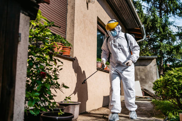 Best Cockroach Control Services  in Edburgh, IN