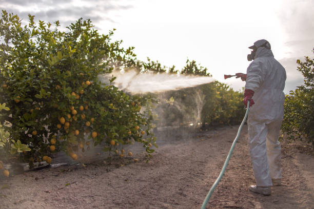 Best Pest Control Cost  in Edburgh, IN