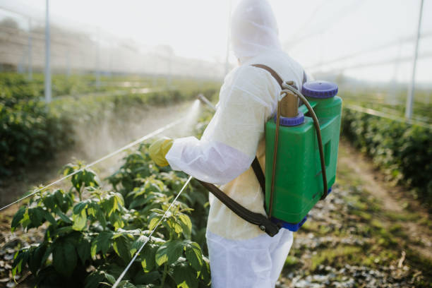 Trusted Edinburgh, IN Pest Control Experts